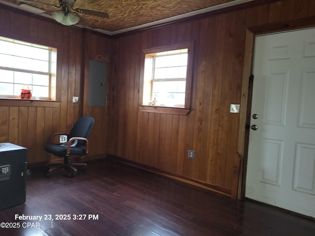 unfurnished office with electric panel, an ornate ceiling, plenty of natural light, and dark wood-style flooring