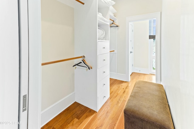 239 Sand Oaks Cir, Santa Rosa Beach, FL 32459 - spacious closet featuring light wood-style floors