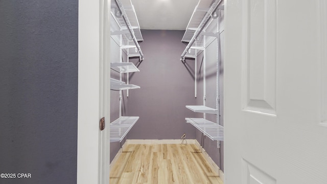 walk in closet with wood finished floors