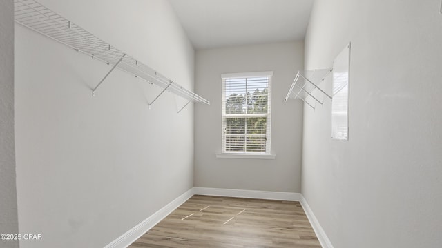 walk in closet featuring light wood finished floors