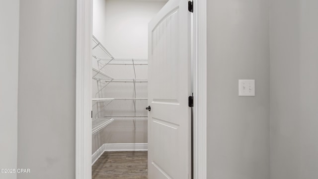 spacious closet featuring wood finished floors