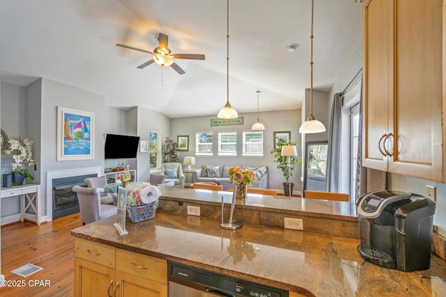 kitchen with a ceiling fan, stainless steel dishwasher, open floor plan, wood finished floors, and hanging light fixtures