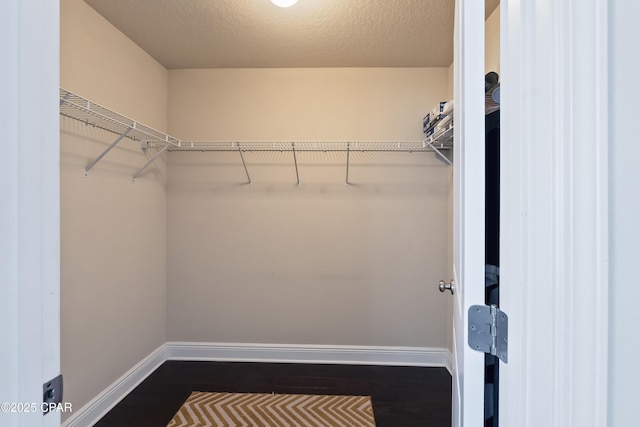 walk in closet with dark wood-type flooring