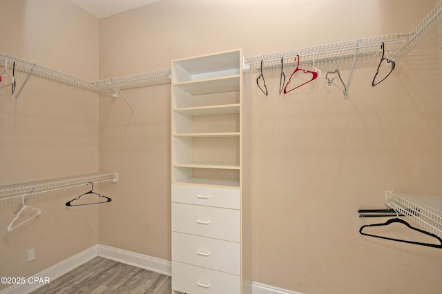 walk in closet with light wood-type flooring