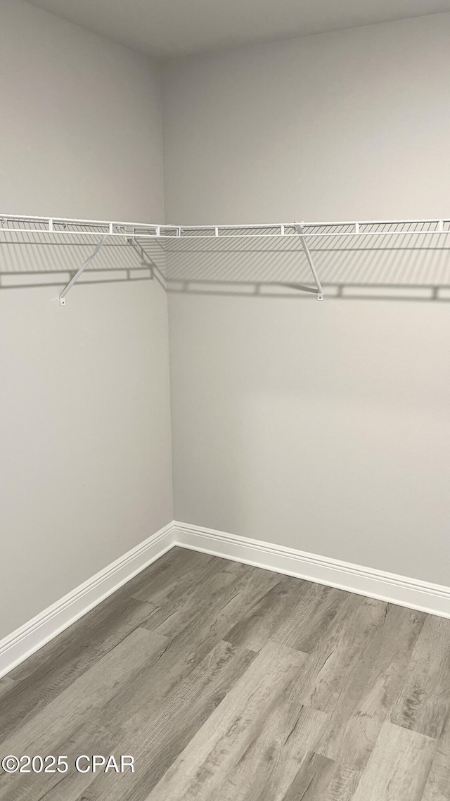 spacious closet with wood finished floors