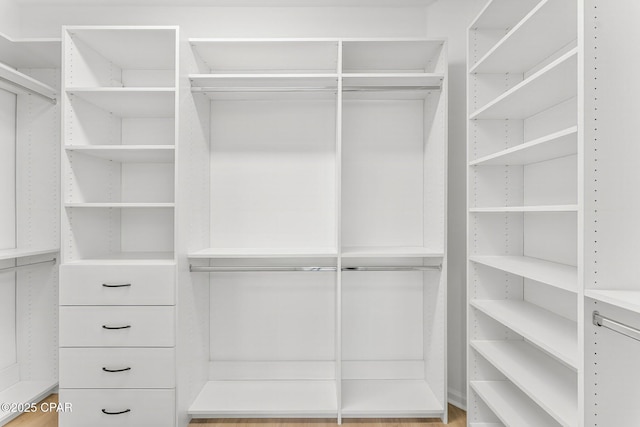 view of spacious closet