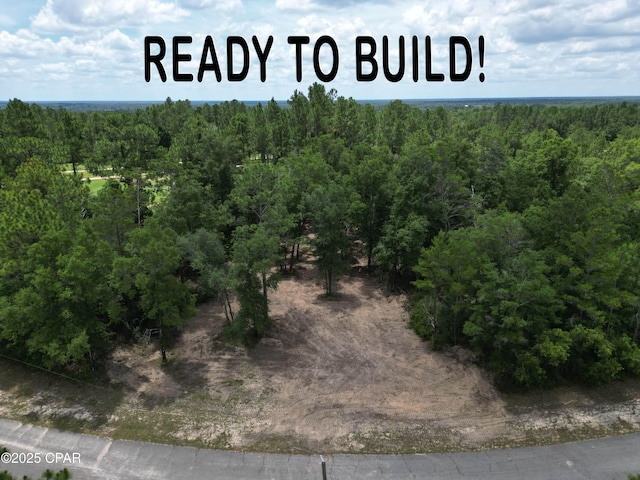 0000 Flagler Dr, Chipley FL, 32428 land for sale