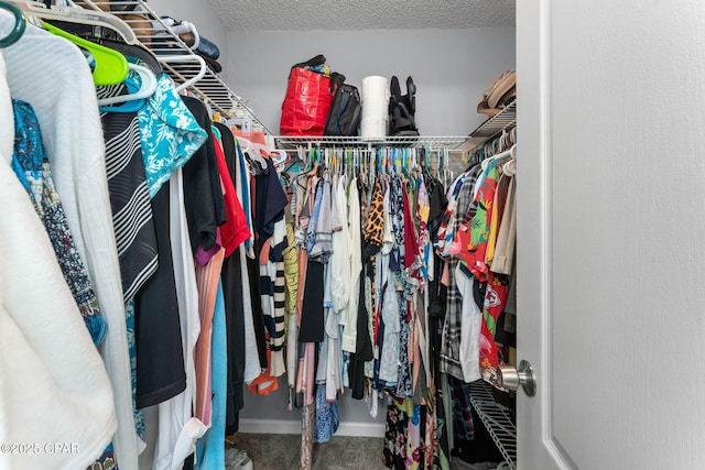 view of walk in closet