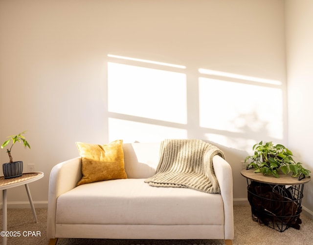 sitting room featuring baseboards and carpet