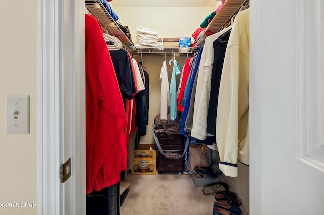 walk in closet with carpet flooring