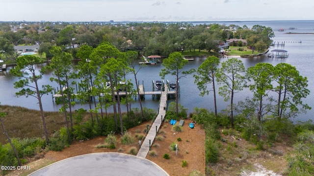 drone / aerial view with a water view