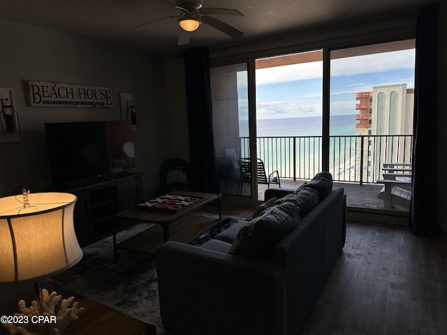 living room with wood finished floors and a ceiling fan