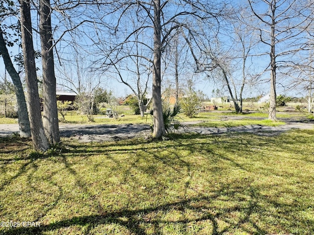 7224 Resota Ln, Panama City, FL 32409 - view of yard