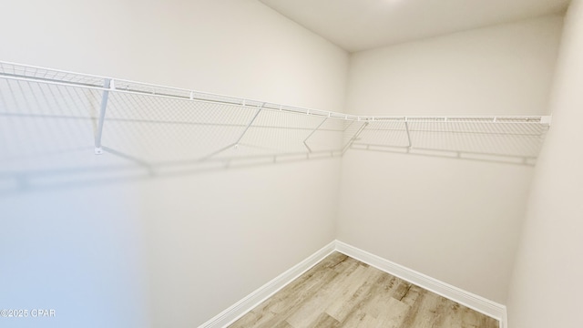 1209 Seafoam St, Panama City, FL 32404 - spare room featuring a raised ceiling, light wood-style flooring, ceiling fan, and baseboards