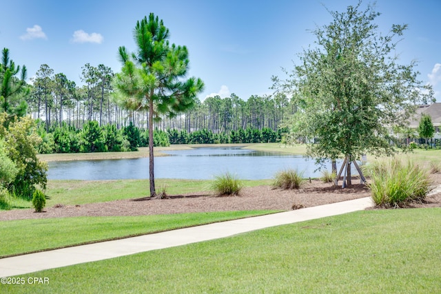 117 Cedar Hammock Ln, Panama City Beach, FL 32407 - water view