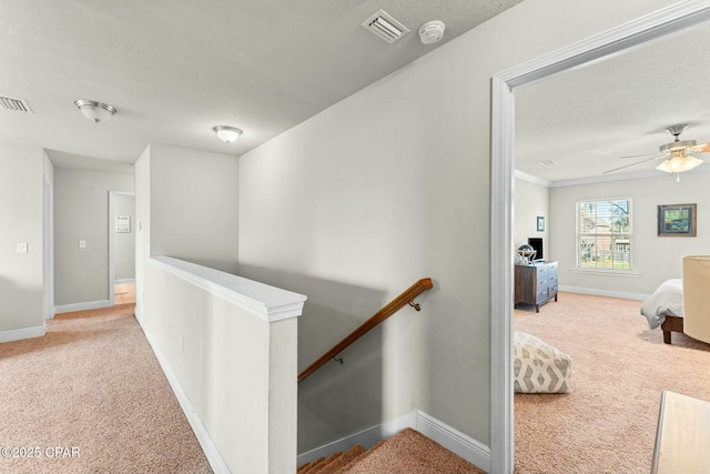 1527 Wateroak Dr, Lynn Haven, FL 32444 - corridor with carpet, an upstairs landing, and baseboards