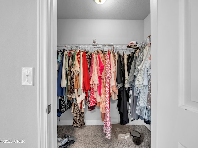 spacious closet with carpet