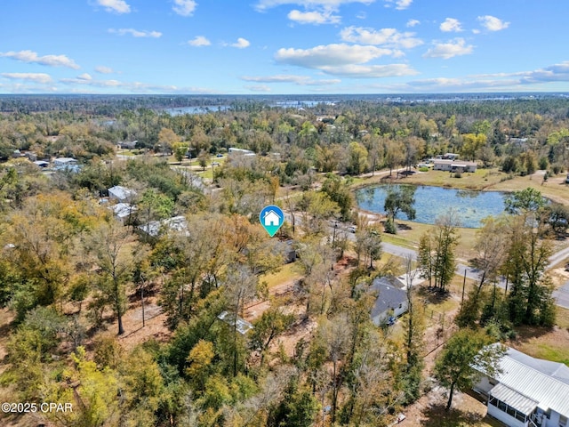 aerial view with a water view and a view of trees