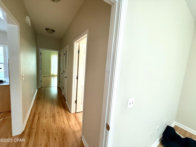 2557 Woods View Dr, Marianna, FL 32446 - hallway with baseboards and light wood-type flooring