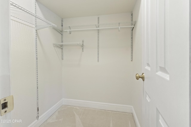 1606 Belmont Blvd, Lynn Haven, FL 32444 - view of spacious closet