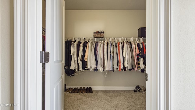 221 S Shoreview Dr, Panama City, FL 32404 - walk in closet with carpet floors