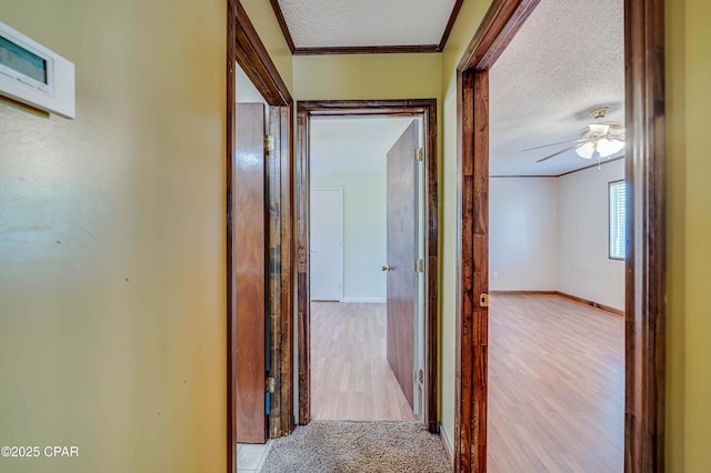 hall with baseboards, a textured ceiling, and wood finished floors