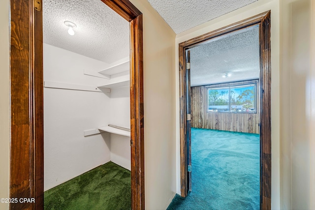 hall featuring carpet floors and a textured ceiling