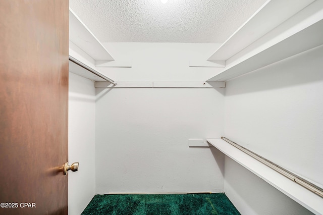 spacious closet with carpet flooring