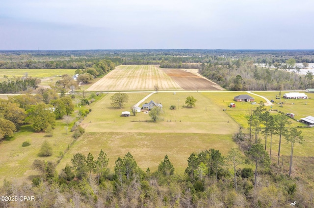 2187 Mayo Rd, Grand Ridge, FL 32442 - aerial view of sparsely populated area