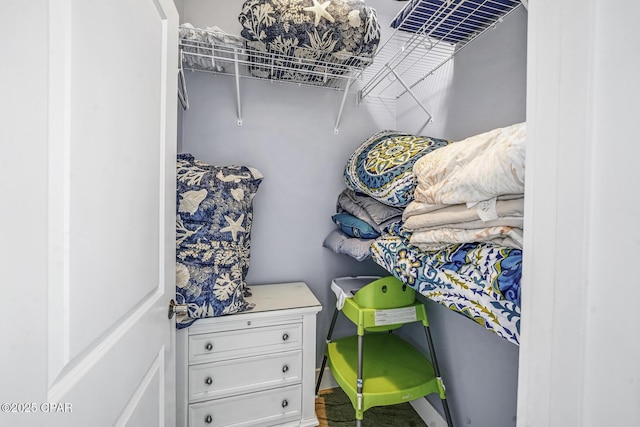 123 Sapodilla Ln, Port St Joe, FL 32456 - view of walk in closet