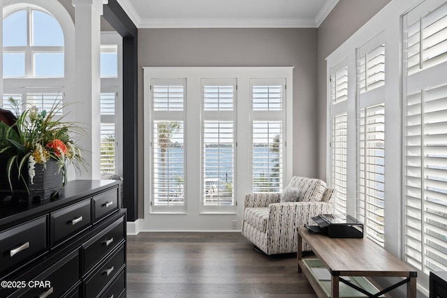 4522 Bay Point Rd, Panama City Beach, FL 32408 - living area featuring crown molding, dark wood-type flooring, and a healthy amount of sunlight