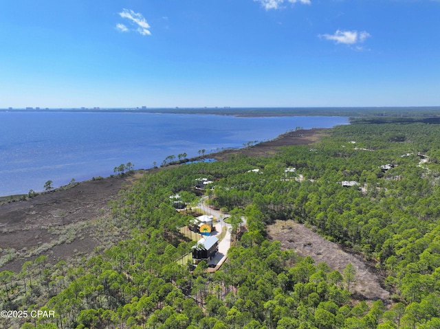 7603 Coastal Hammock Trl, Panama City Beach, FL 32413 - aerial view of a heavily wooded area and a nearby body of water