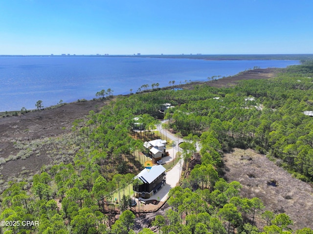 7603 Coastal Hammock Trl, Panama City Beach, FL 32413 - aerial view of a large body of water and a forest