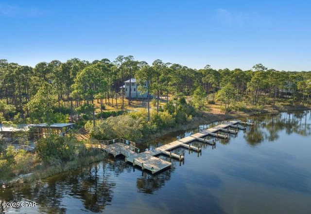7603 Coastal Hammock Trl, Panama City Beach, FL 32413 - dock with a water view and a wooded view