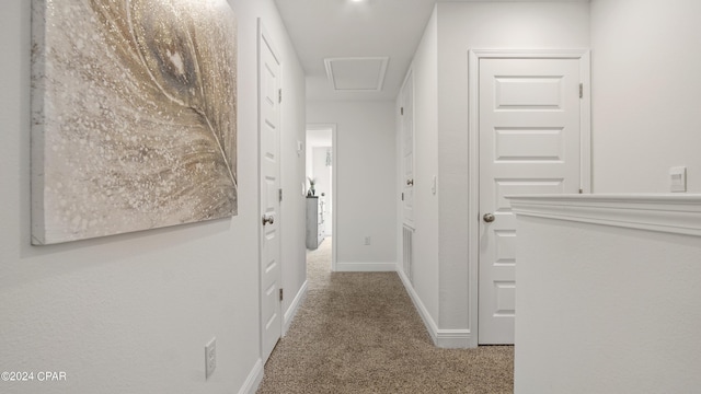 hall featuring carpet floors, baseboards, and attic access
