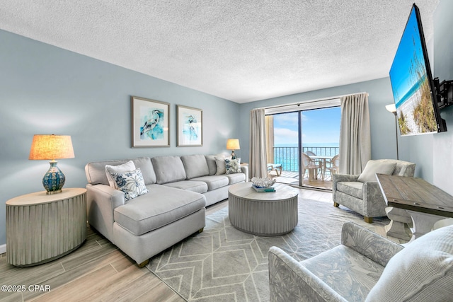 5801 Thomas Dr Unit 1216, Panama City Beach, FL 32408 - living room with wood finished floors and a textured ceiling