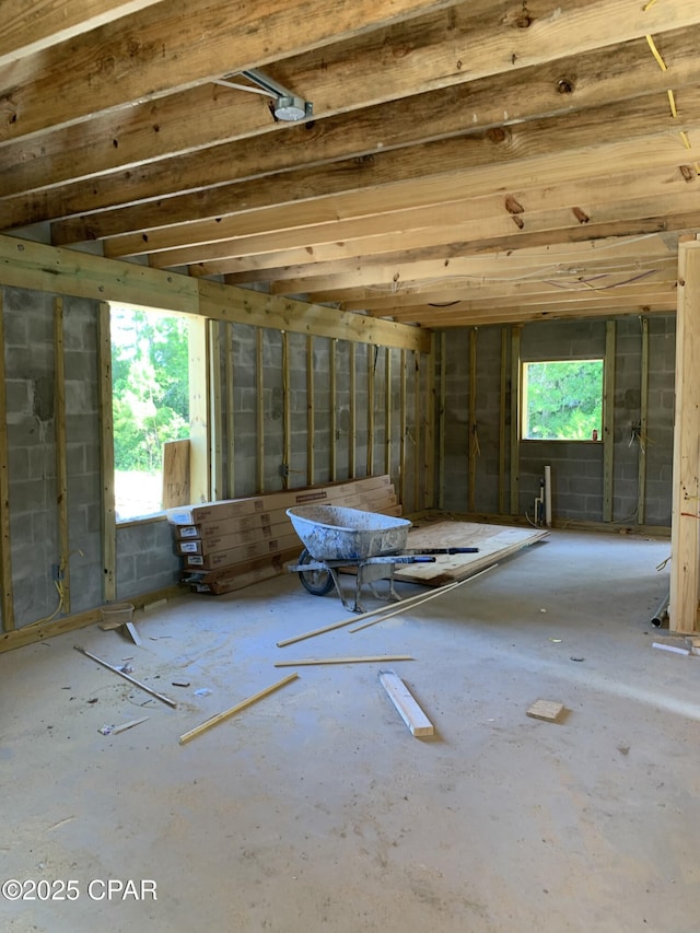 miscellaneous room with plenty of natural light