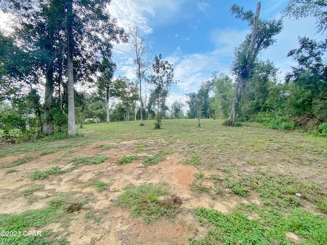 00 Magnolia Blossom Ln, Marianna, FL 32446
