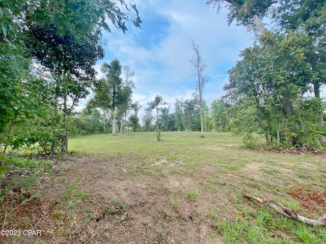 00 Magnolia Blossom Ln, Marianna, FL 32446