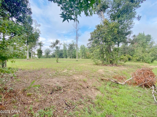 00 Magnolia Blossom Ln, Marianna, FL 32446