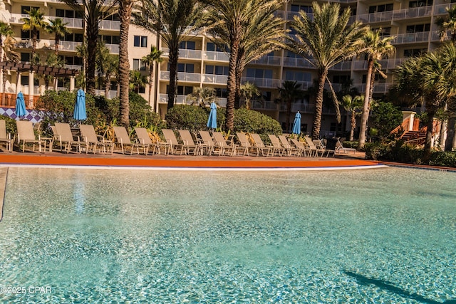 9900 S Thomas Dr Unit 1719, Panama City Beach, FL 32408 - view of swimming pool