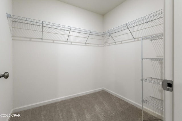 4060 Parkton Ct, Chipley, FL 32428 - walk in closet featuring carpet