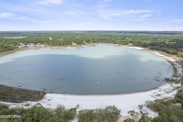 4060 Parkton Ct, Chipley, FL 32428 - bird's eye view of a forest and a large body of water