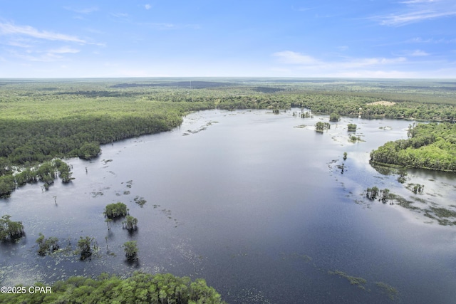 4060 Parkton Ct, Chipley, FL 32428 - bird's eye view of a forest and a large body of water