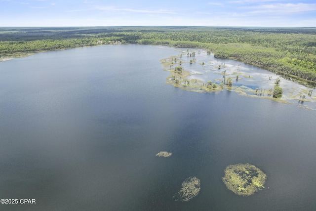 4060 Parkton Ct, Chipley, FL 32428 - aerial view of a forest and a nearby body of water