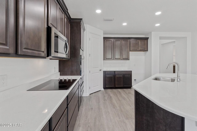 kitchen featuring light wood-style flooring, dark brown cabinets, stainless steel microwave, a sink, and black electric cooktop