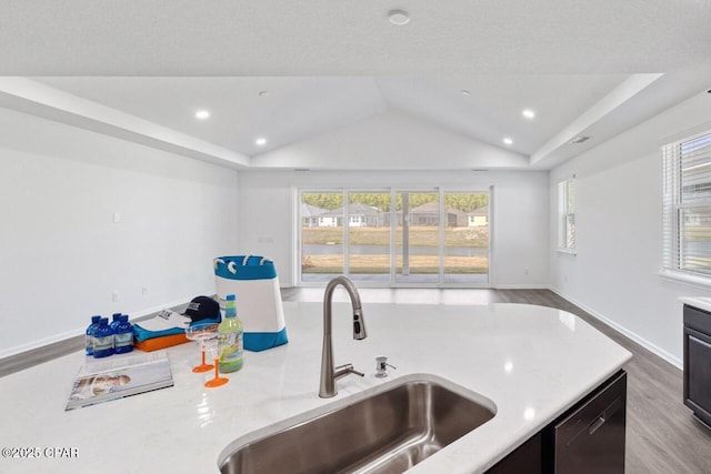 kitchen featuring plenty of natural light, a sink, open floor plan, dishwashing machine, and vaulted ceiling