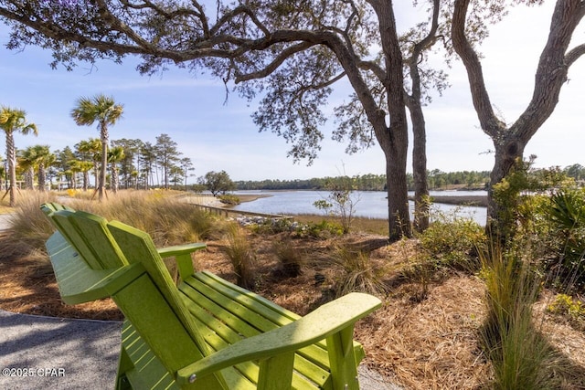 view of home's community featuring a water view