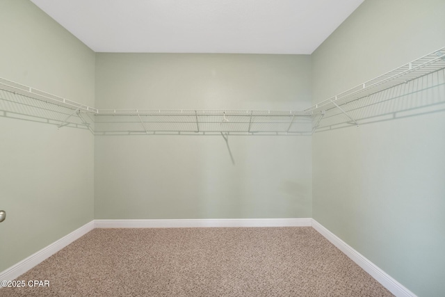 365 Confidence Way, Panama City, FL 32409 - walk in closet with carpet