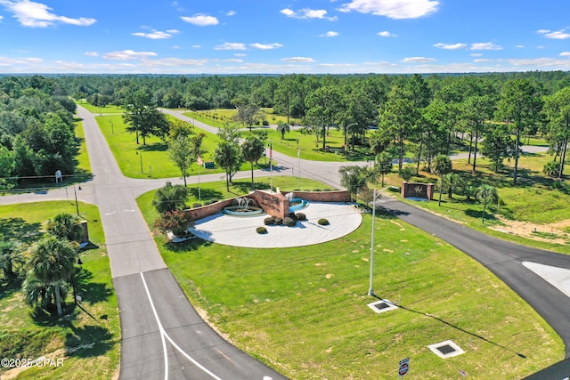 aerial view